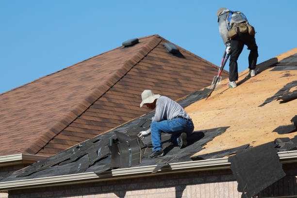 Best Green or Eco-Friendly Roofing Solutions  in Winter Beach, FL