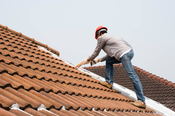 Best Roof Moss and Algae Removal  in Winter Beach, FL